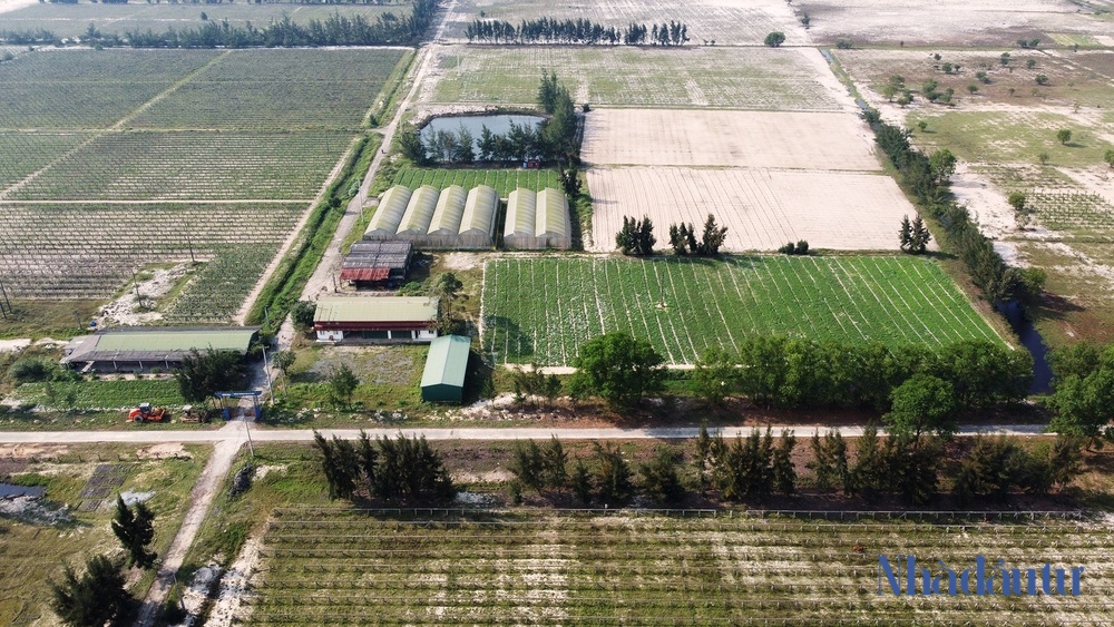 Dự án nông nghiệp của FLC ở Hà Tĩnh